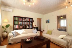 a living room with a couch and a book shelf at Elizabeth Country House - 3BR spacious villa in Vragkaniótika