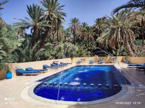 a large pool with blue water and palm trees at Auberge Camping Atlas in Tinerhir