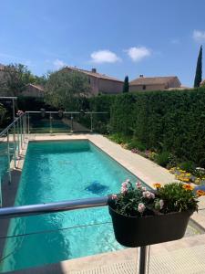 a swimming pool with a potted plant next to it at Villa Elimia piscine privée & chauffée in Antibes