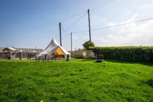 une tente dans un champ d'herbe verte dans l'établissement Tryfan Pen Cefn Farm Bell Tent, à Abergele