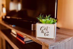 a sign sitting on a table with a potted plant at Exposed Beam 3BR Modern Mountain Retreat in Thornton +35 photos