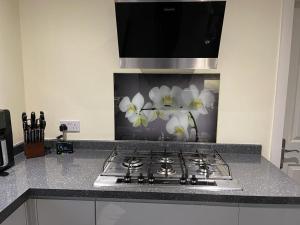 a kitchen counter with a stove top with flowers on it at Double bedroom in a residential home with parking in Wootton
