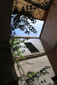 a view from the inside of a building with a tree at Riad En exclusivité a 99 euros avec 5 chambres in Marrakesh