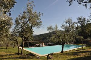 A piscina localizada em Agriturismo San Leo ou nos arredores