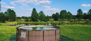 a bird bath in a field next to a pond at Nowy Domek na Mazurach - łowisko ryb in Szczytno