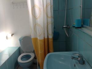 a bathroom with a toilet and a shower curtain at villa NYL in Schœlcher +5 photos