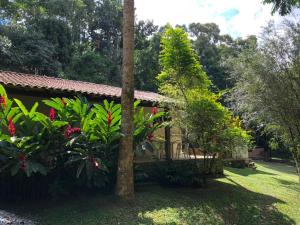 a house with trees and plants in a yard at Tranquilidade e boa localização na Mata Atlântica in Paraty