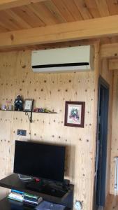 Zimmer mit einer Holzwand und einem Flachbild-TV in der Unterkunft HappyHouse Bungalov Three-Room, SPA pleasure with lake view, Sapanca B1 in Sapanca