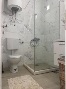 烏爾齊尼的住宿－Rasi Luxury Apartments，一间带卫生间和玻璃淋浴间的浴室