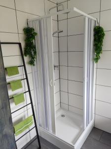 a bathroom with a shower with green towels and a mirror at Gasthaus Düther Schleuse in Düthe