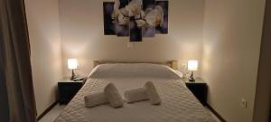 sypialnia z łóżkiem z 2 poduszkami w obiekcie VAGGELIO Rooms 1 w mieście Ilia