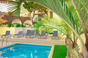 a pool with chairs and a palm tree next to it at Aparthotel Ola Blanca in Cala de Finestrat +29 photos