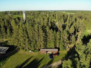 una vista aerea di una casa in un bosco di alberi di Metsjärve apartments a Põlva