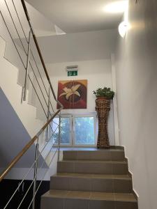 Fotografie z fotogalerie ubytování Ametist Casa Leului v destinaci Mamaia Nord – Năvodari
