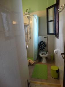 a bathroom with a toilet and a shower with a green rug at Karpetis a green paradise in Psakoudia