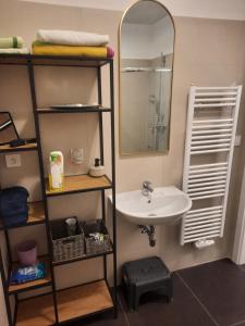 a bathroom with a sink and a mirror at Apartmán Kurt in Mariánské Lázně +14 photos