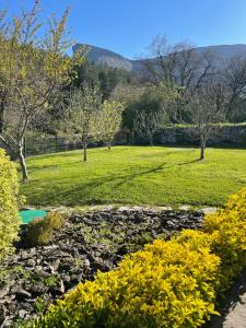 Príroda v okolí of the country house