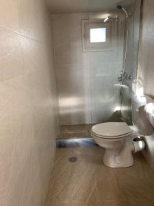 a bathroom with a toilet and a shower at Ikia Wide Wild Summer House in Kollimpithra +10 photos