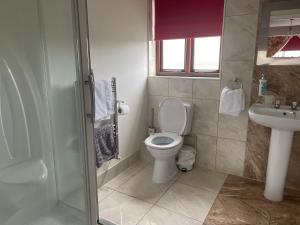 un bagno con un water e un lavandino di Brewery Farm House Bed & Breakfast a Swindon