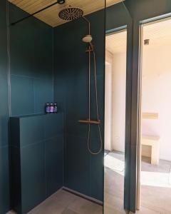 a bathroom with dark green walls and a shower at Odi Resort in Ilmasoo