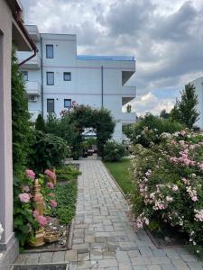 Zahrada ubytování Ametist Casa Leului