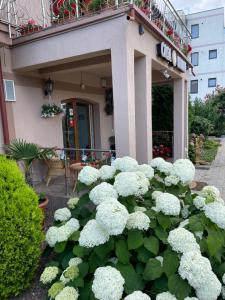 Zahrada ubytování Ametist Casa Leului