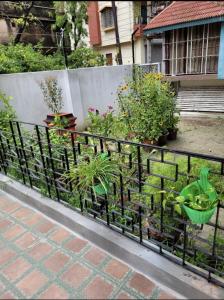 Gallery image of The Woodpecker Inn Suite in Konnagar