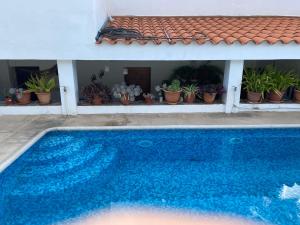 a blue swimming pool in front of a house with potted plants at Casa en Mogán in Las Burrillas
