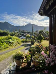 - une vue depuis la terrasse couverte ornée de plantes en pot dans l'établissement BEC ROZ', à Salazie