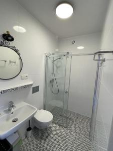 een badkamer met een douche, een toilet en een wastafel bij ASIA- Pokoje Gościnne i Studia in Ostrowo
