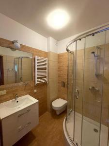 a bathroom with a shower and a toilet and a sink at ASIA- Pokoje Gościnne i Studia in Ostrowo