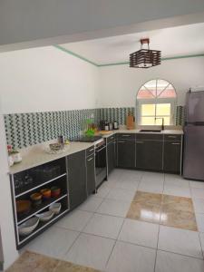 Kuchyň nebo kuchyňský kout v ubytování Villa Raven`s Paradise (Gris)
