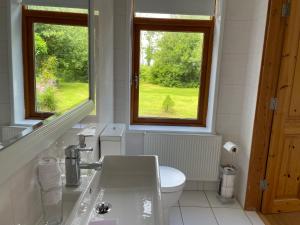 的住宿－Kerry Country House，一间带水槽和卫生间的浴室以及两个窗户。