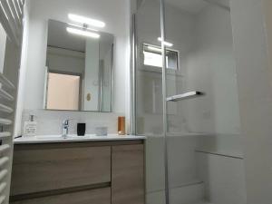 een badkamer met een douche, een wastafel en een spiegel bij Studio Cauterets, 1 pièce, 4 personnes - FR-1-234-242 in Cauterets