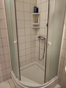 Koupelna v ubytování Private Accommodation Raspudic