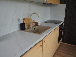 a kitchen with a sink and a counter top at Steigen Lodge Tiny house in Steigen