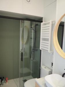 a bathroom with a shower with a glass shower stall at Steigen Lodge Tiny house in Steigen