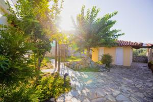 A garden outside Pano's House