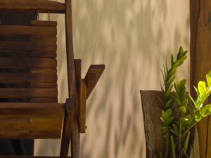 una silla de madera y una planta junto a una pared en Glamping Algodões, en Maraú