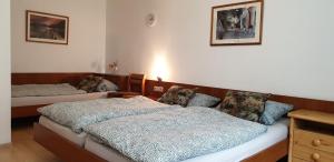 ein Zimmer mit 2 Betten und einer Kommode darin in der Unterkunft Apartmenthaus "Zum Löwen" Heidelberg - Ziegelhausen in Heidelberg