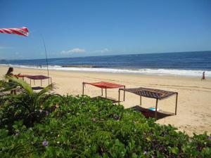 Naturlandskabet i nærheden af feriehuset