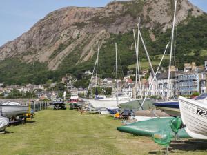 a bunch of boats parked in a marina with a mountain at Puffin Lookout in Penmaen-mawr