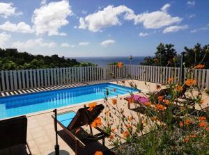 a swimming pool with a fence and the ocean at Locations Morne aux Vents in Fond Boucher