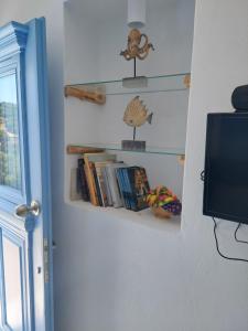 a room with shelves with books and a television at BAROS VIEW in Apérathos