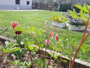 dos macetas de flores en un jardín con un patio en Apartman Dunja Banja Vrdnik, en Vrdnik