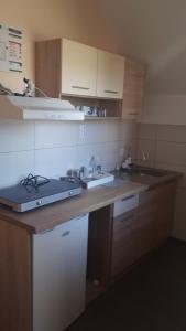 a kitchen with a sink and a counter top at Apartman Dunja Banja Vrdnik in Vrdnik