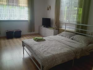 a bedroom with a bed with a television and windows at Dom pod lasem in Ruciane-Nida