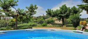 a swimming pool in a yard with trees at Can Carbó in Pals