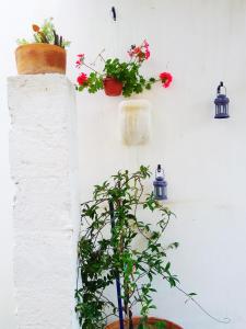 a white wall with plants and lights on it at Masseria delle Rose 1760 in Alessano