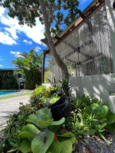 A garden outside Occi Lodge